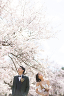 It&rsquo;s spring time♫