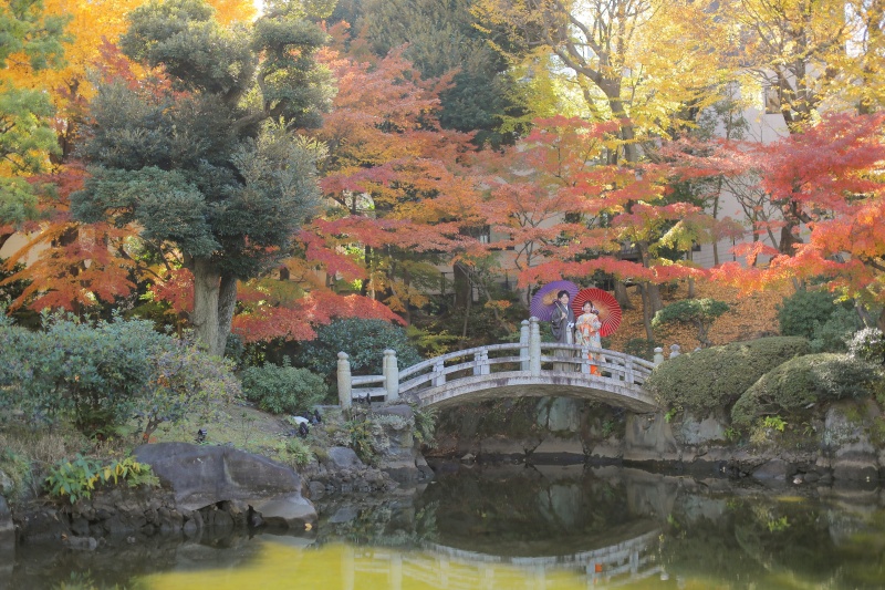 大人気! 紅葉おすすめロケーション*・゜
