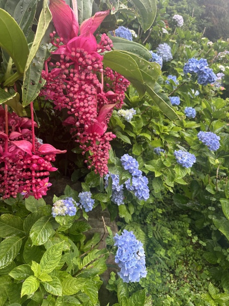 梅雨時期でも楽しめる観光スポット♡