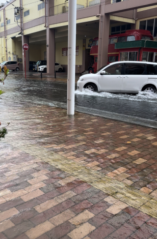 梅雨入りしたと思ったら、梅雨開けちゃった?
