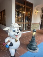 まだ間に合います!!!