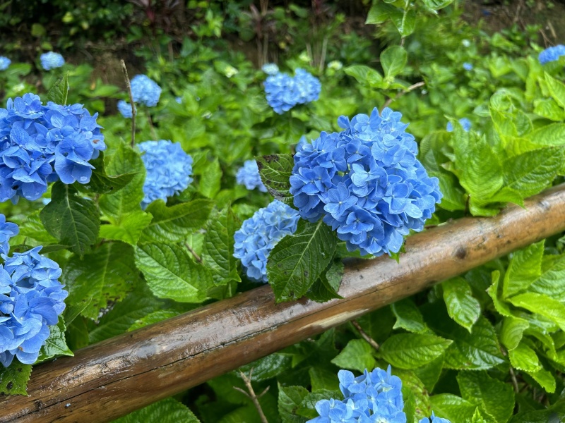 梅雨時期でも楽しめる観光スポット♡
