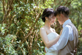 ムービープラン♪