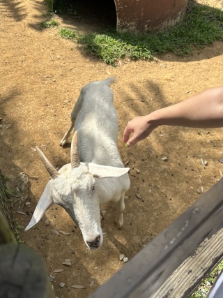 東南植物楽園へ☆