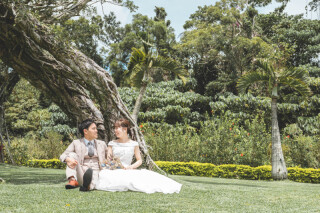 グリーンスポットとビーチのサンセットプラン