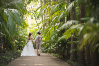 東南植物楽園での撮影の魅力をご紹介！