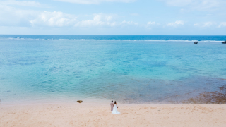 今ならオプションが無料でついてくるキャンペーン☆