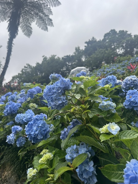 梅雨時期でも楽しめる観光スポット♡