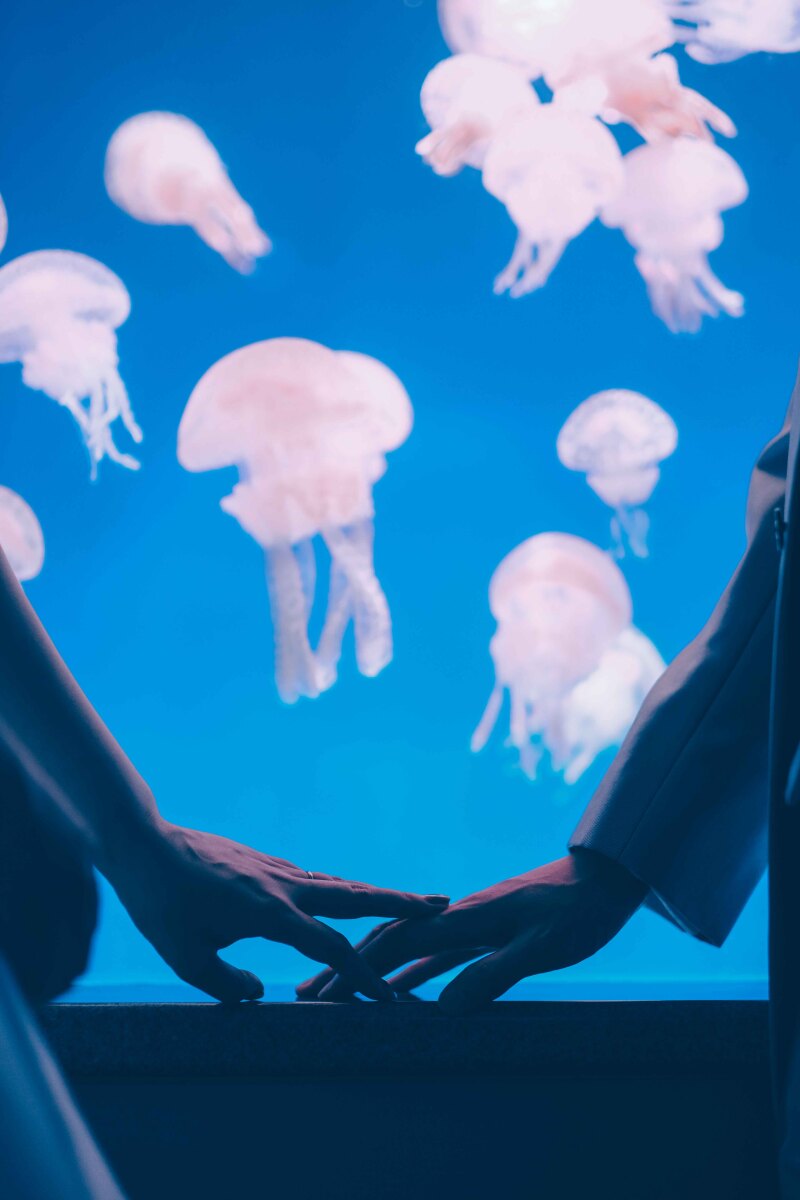 新江ノ島水族館で撮れるウェディングフォト