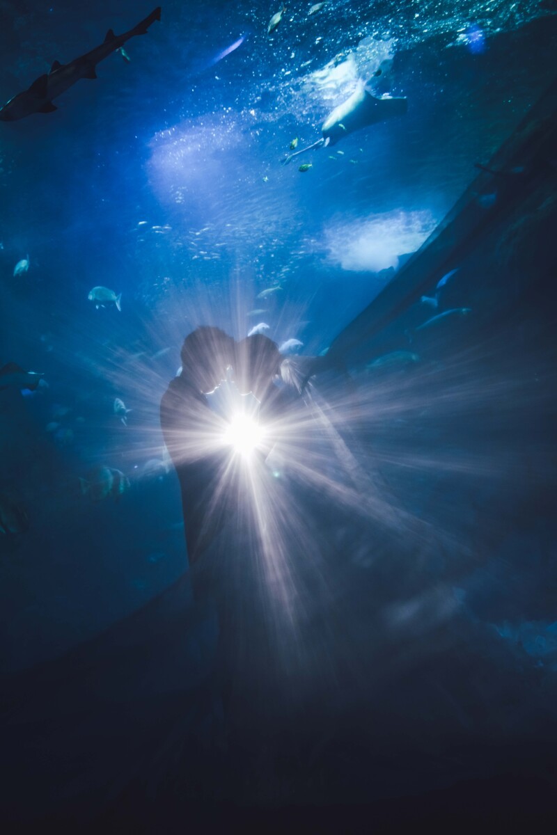 水族館で撮影する幻想的な写真