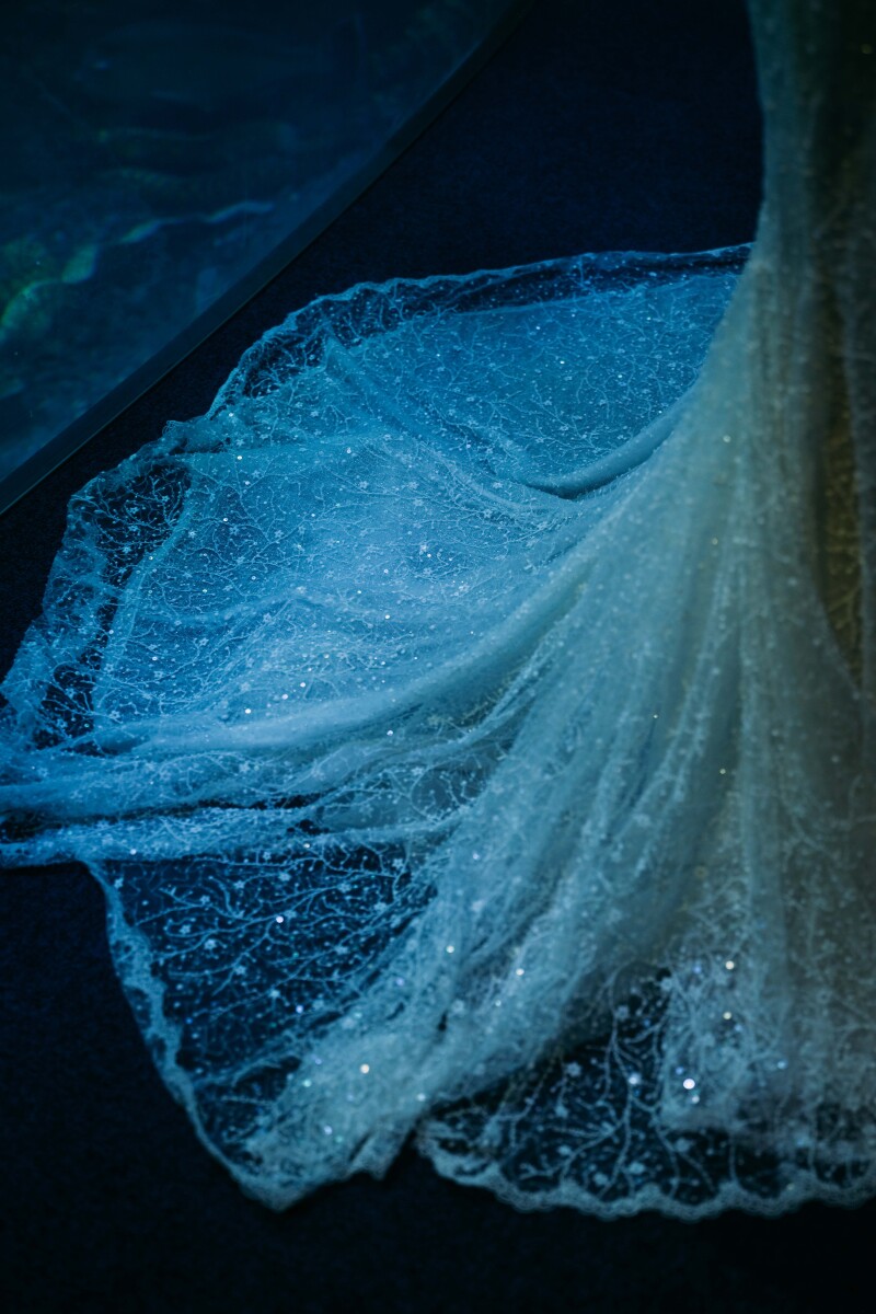 水族館で撮る幻想的なウェディングフォト