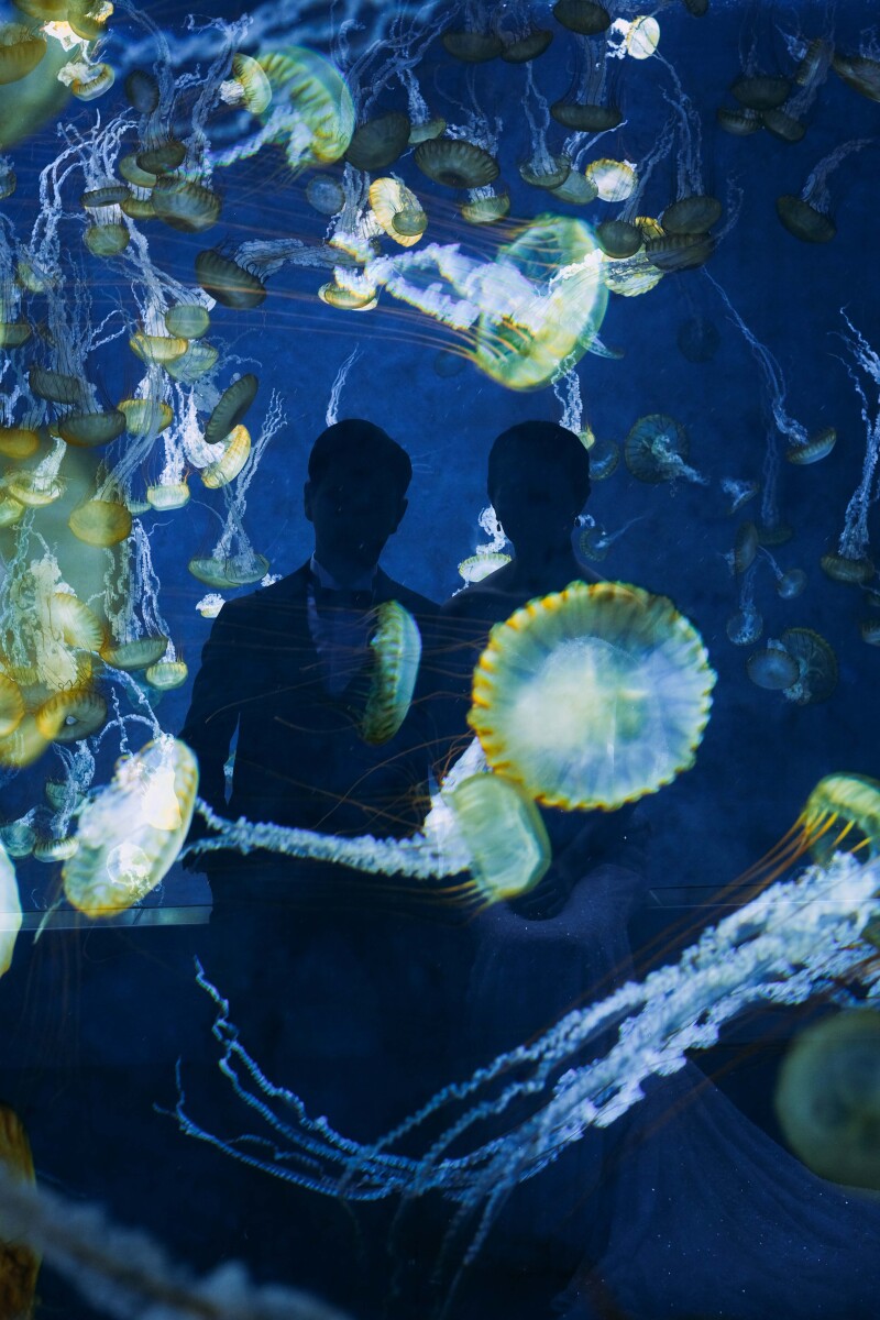 水族館で撮る幻想的なウェディングフォト