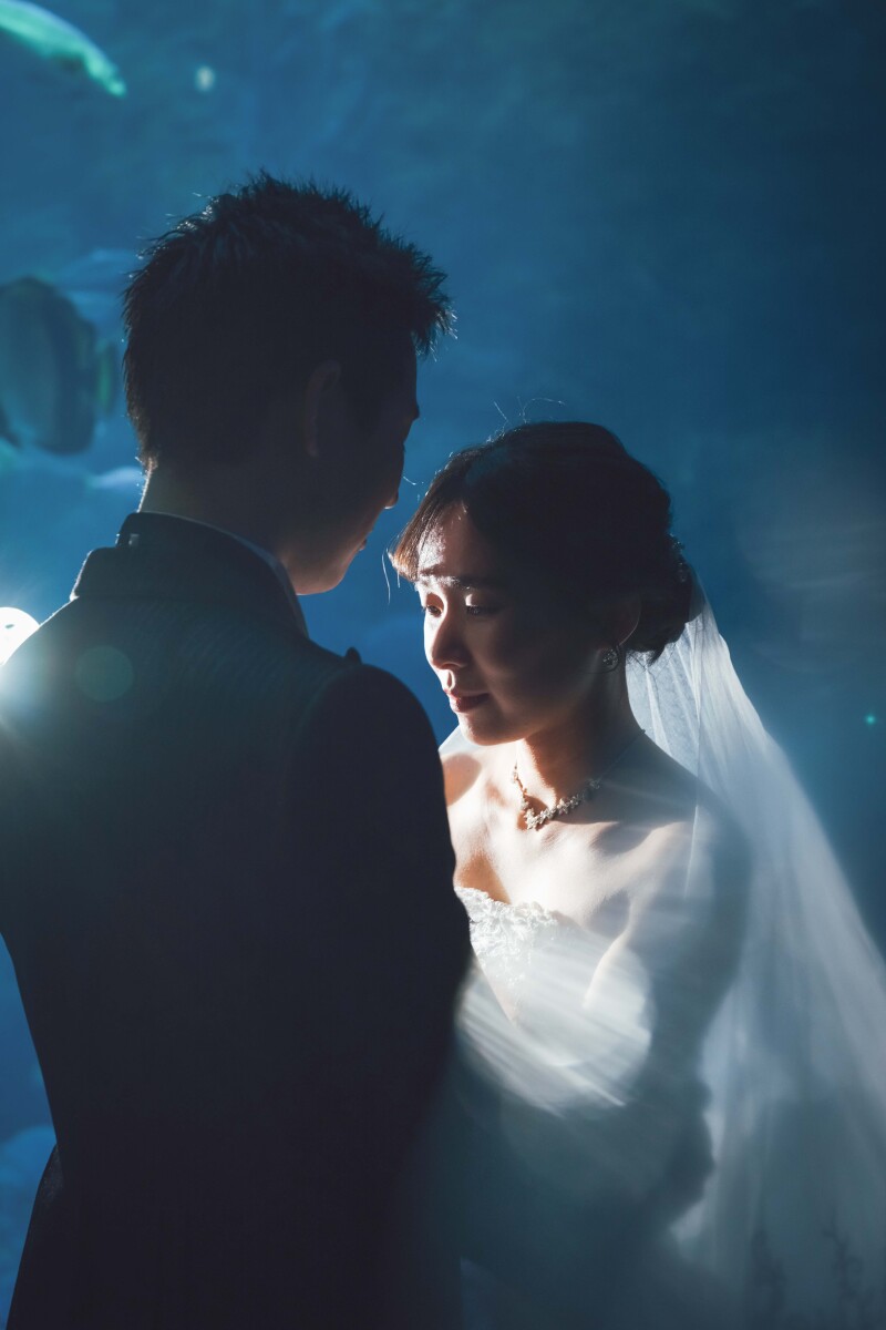 水族館で撮影する幻想的な写真