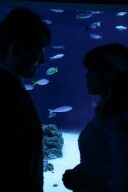 新江ノ島水族館でしか撮れないシルエットフォト