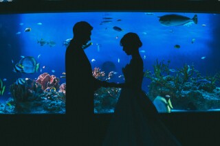 JHeartでしか撮れない新江ノ島水族館撮影！