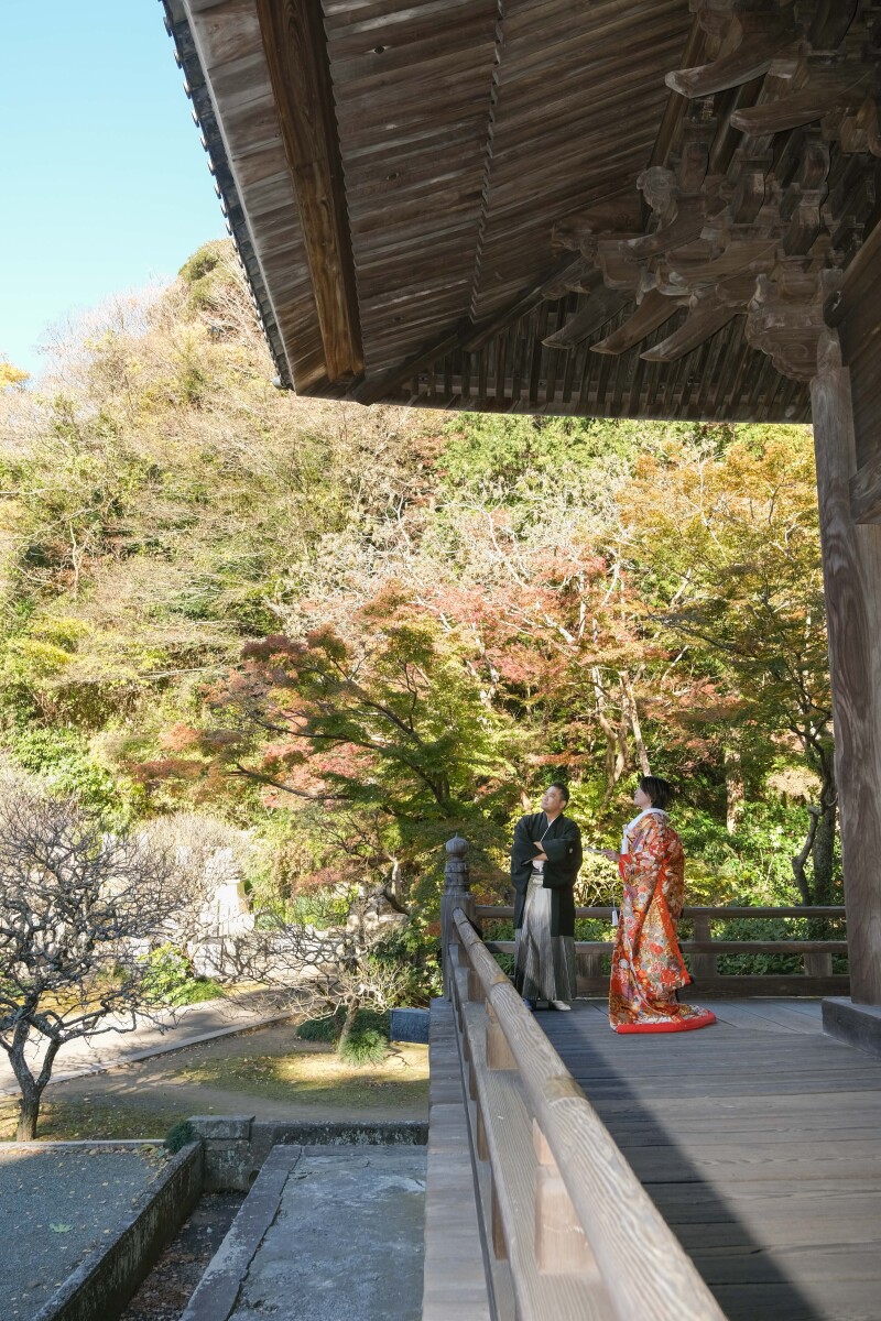 色打掛で楽しむ妙本寺和装フォト