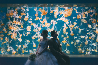 貸切空間の「新江ノ島水族館」