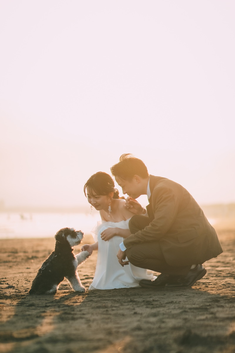 大切なわんちゃんと共に、美しい夕陽の広がる海で想い出フォト♪