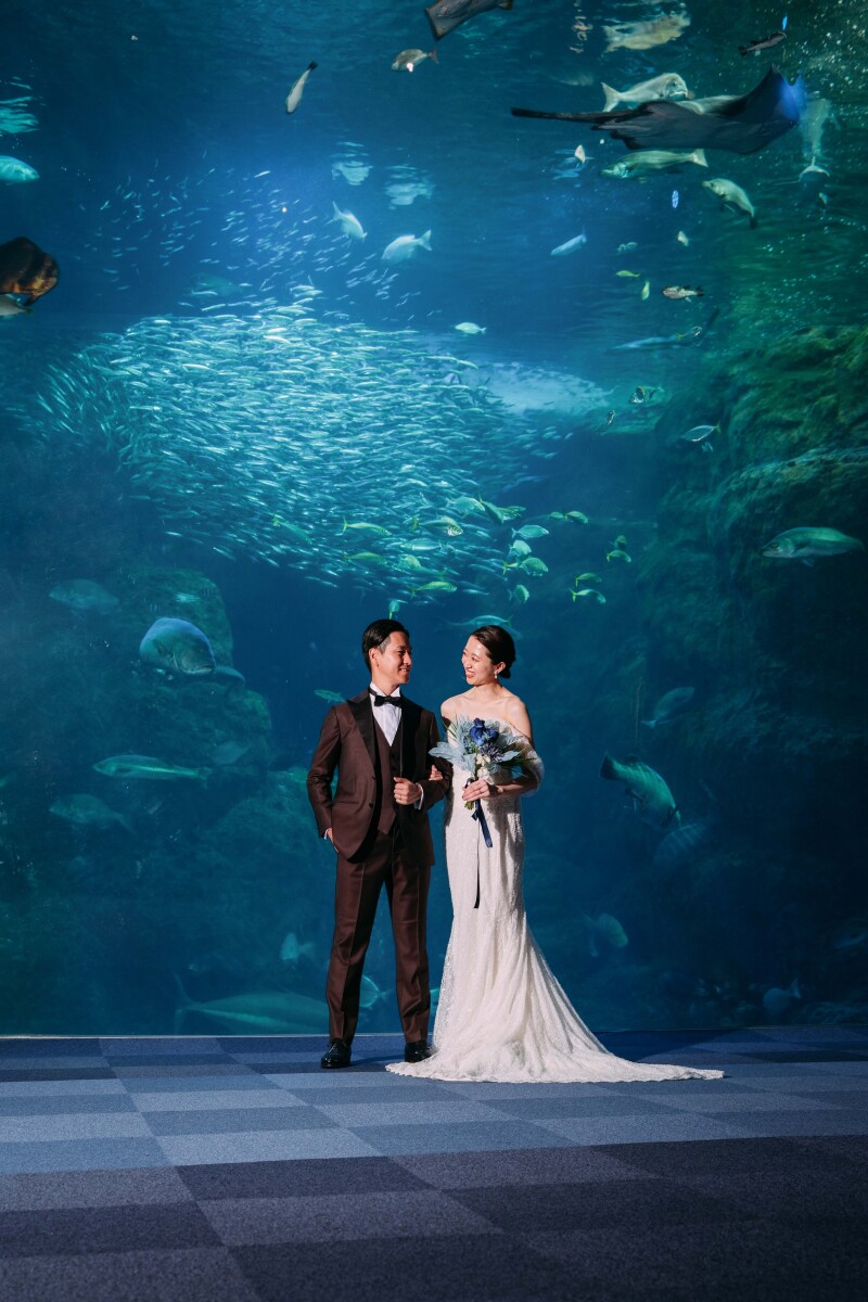 水族館で撮る幻想的なウェディングフォト