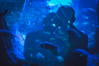 水族館で撮影する幻想的な写真