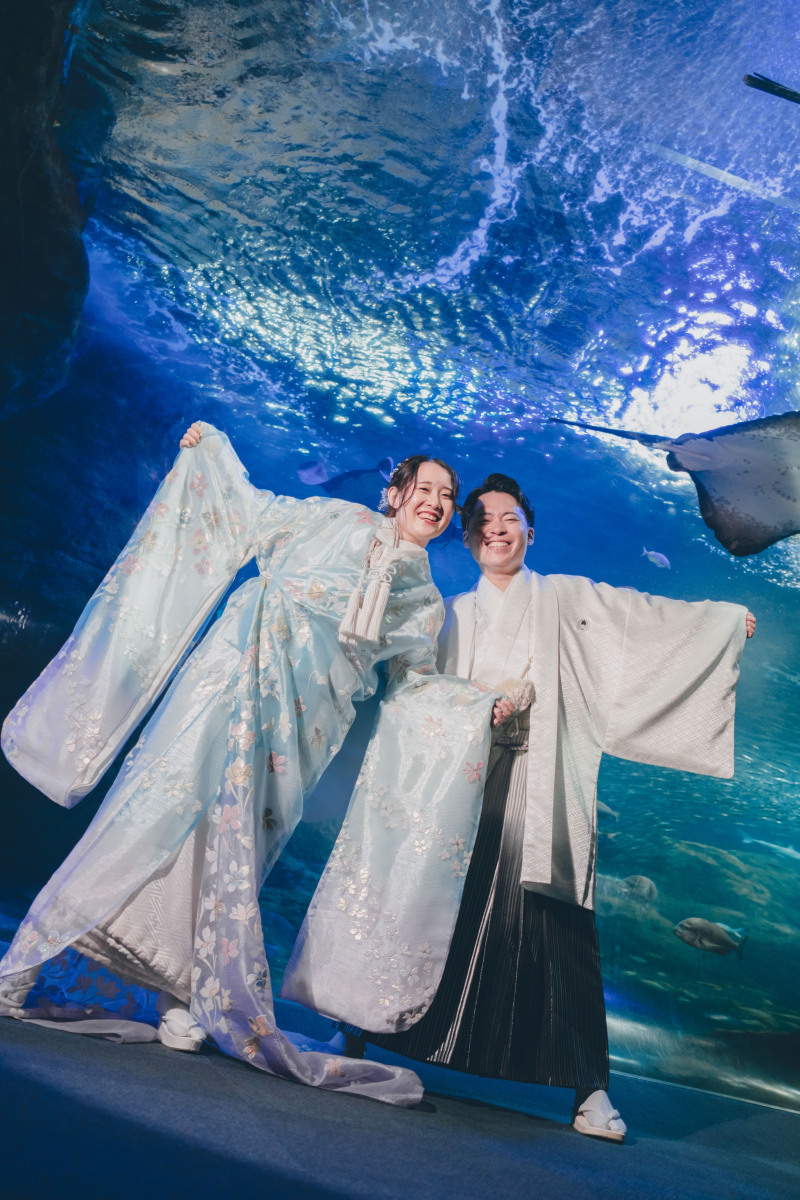 和装水族館フォト
