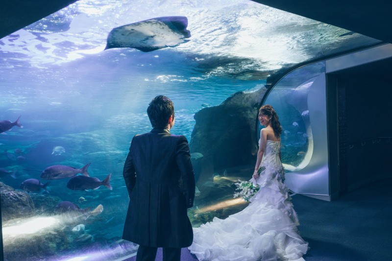 【5月限定キャンペーン!】新江ノ島水族館&ロケーション撮影