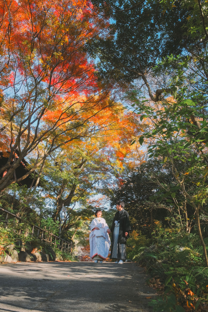 湘南の遅咲き紅葉フォトをご紹介!