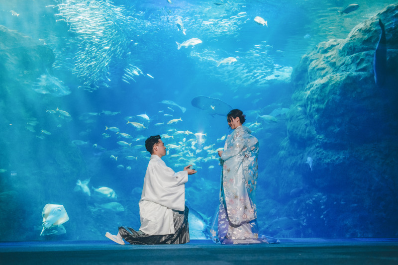 和装水族館フォト