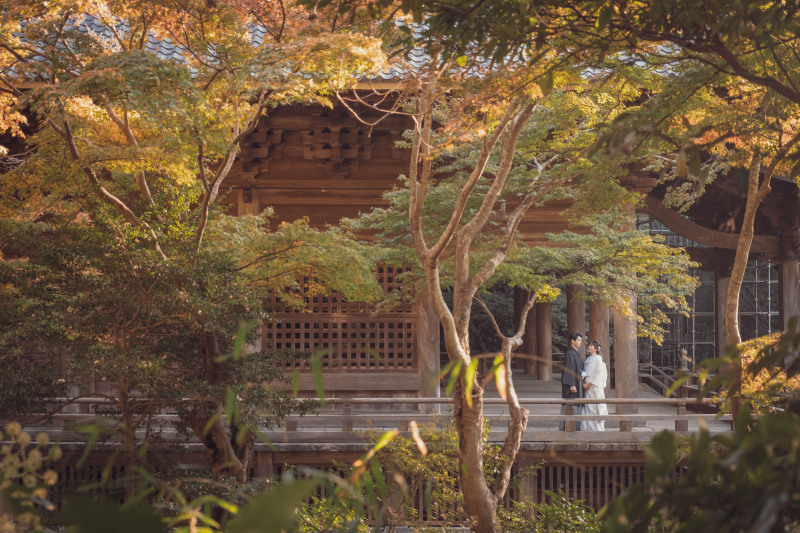 紅葉の季節 秋の妙本寺