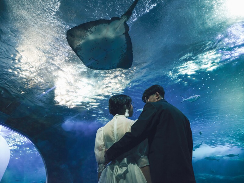 おふたりらしい水族館フォト