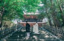 本日は、鎌倉に寺院を構える「円覚寺」で撮れるお写真をご紹介します！