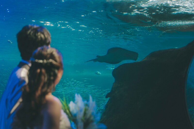 新江ノ島水族館で撮れるウェディングフォト