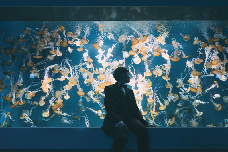 貸切で撮る「新江ノ島水族館プラン」