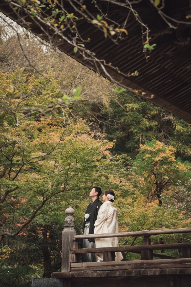 秋の妙本寺を人力車で巡りませんか