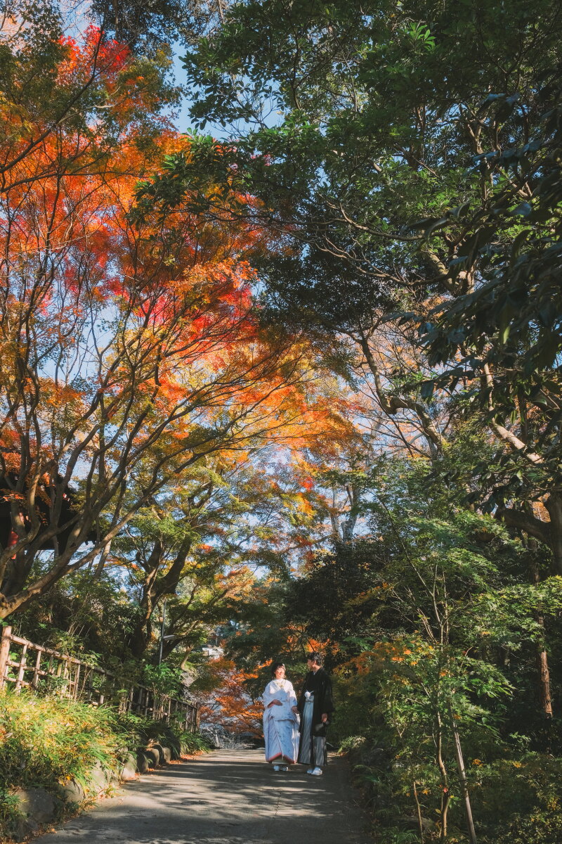 紅葉と和装
