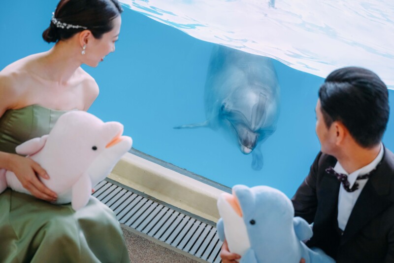水族館で撮る幻想的なウェディングフォト