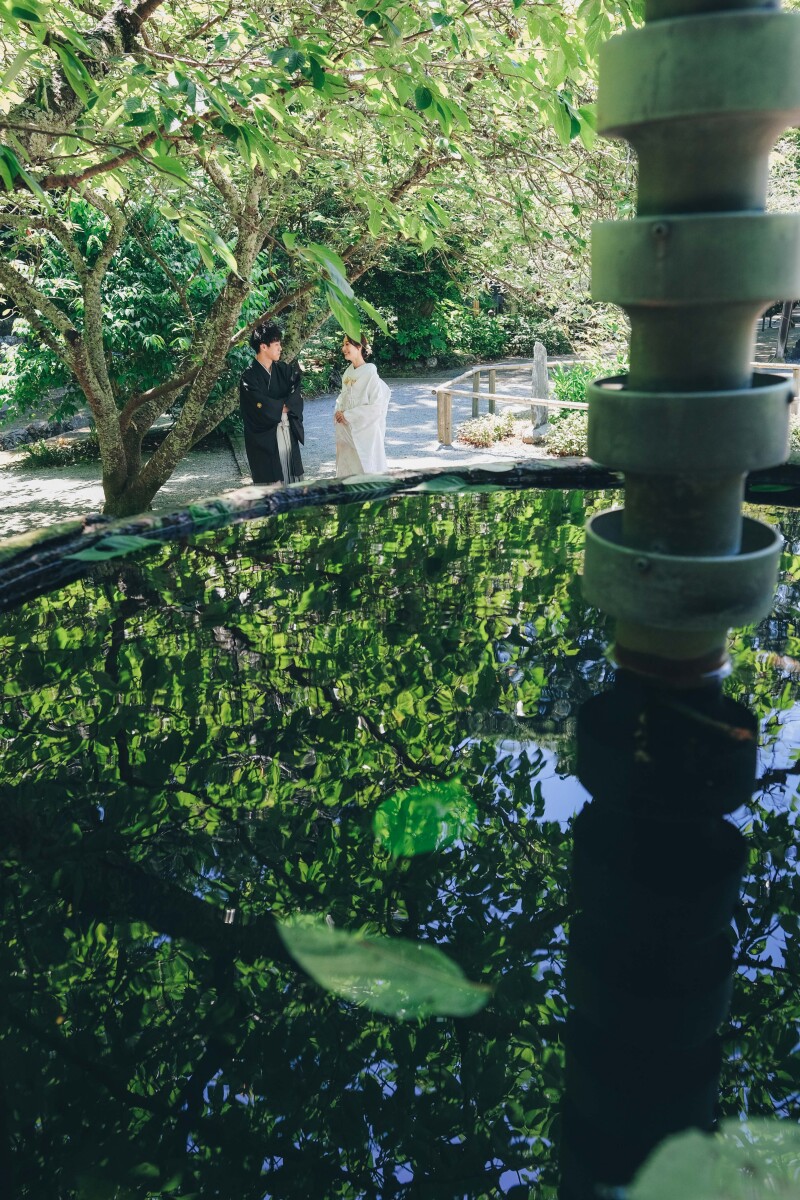 深緑で撮る妙本寺