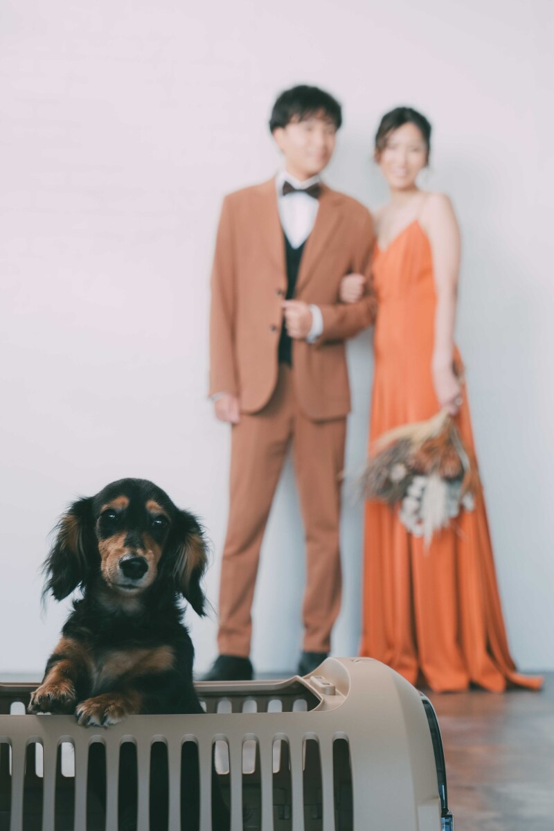 愛犬と一緒に