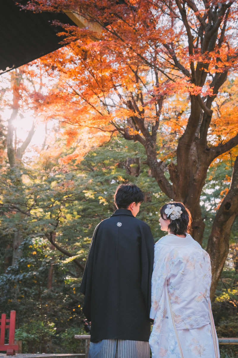 湘南の遅咲き紅葉フォトをご紹介!