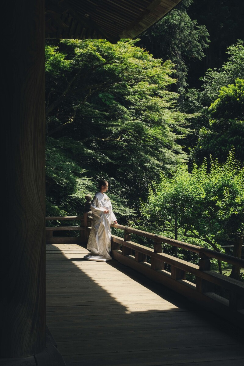 深緑で撮る妙本寺