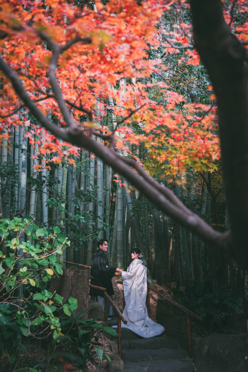 湘南の遅咲き紅葉フォトをご紹介!