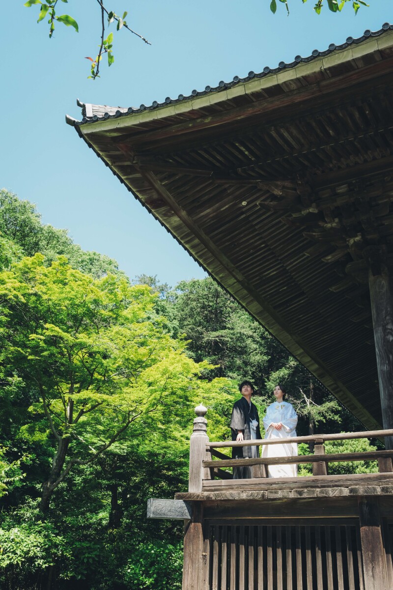 深緑で撮る妙本寺