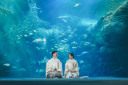 和装水族館フォト