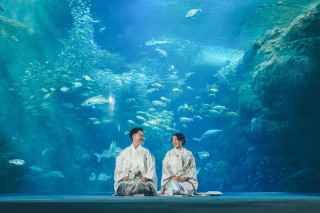 和装水族館フォト
