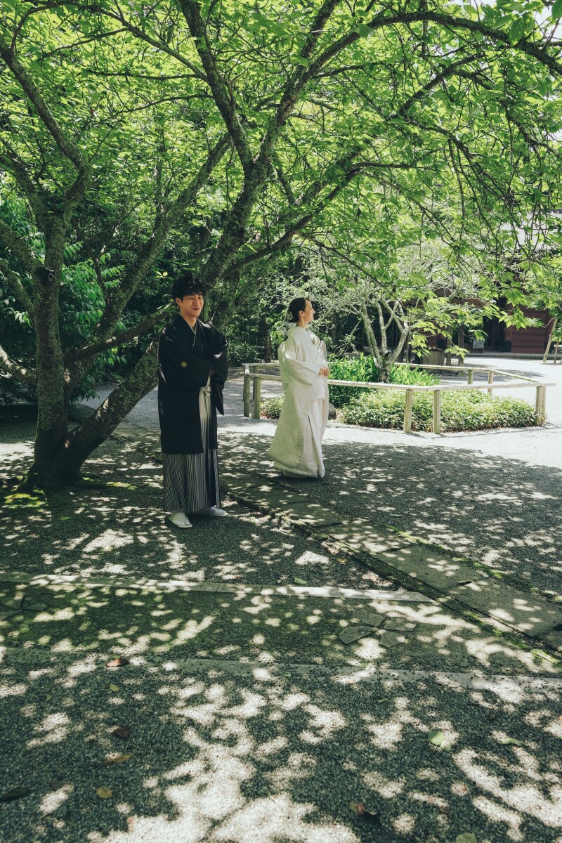 深緑で撮る妙本寺