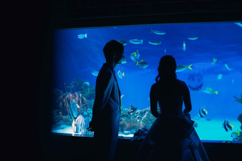 新江ノ島水族館で撮れるウェディングフォト
