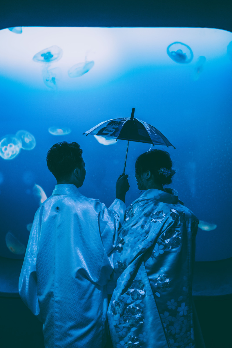 和装水族館フォト