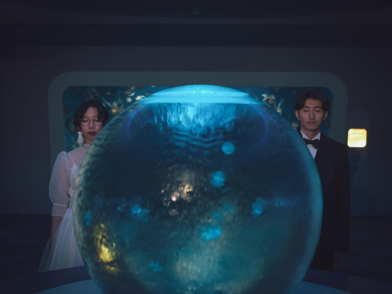 おふたりらしい水族館フォト