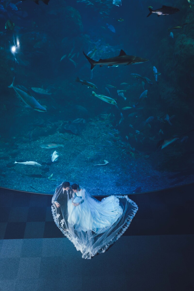 水族館で撮影する幻想的な写真
