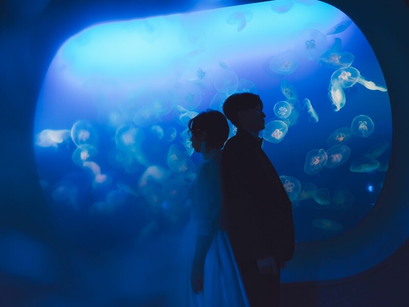 おふたりらしい水族館フォト